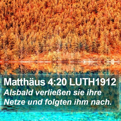 Matthäus 4:20 LUTH1912 Bible Verse Image