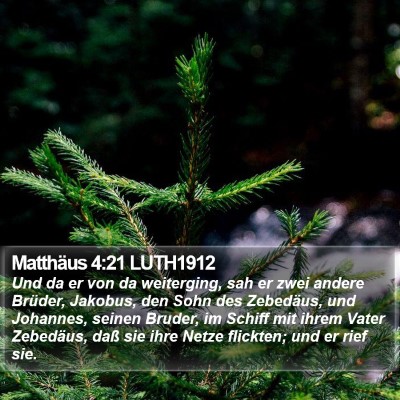 Matthäus 4:21 LUTH1912 Bible Verse Image