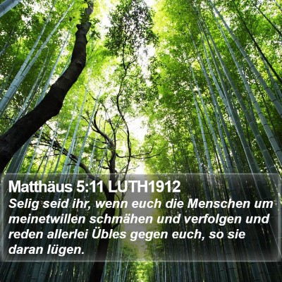Matthäus 5:11 LUTH1912 Bible Verse Image