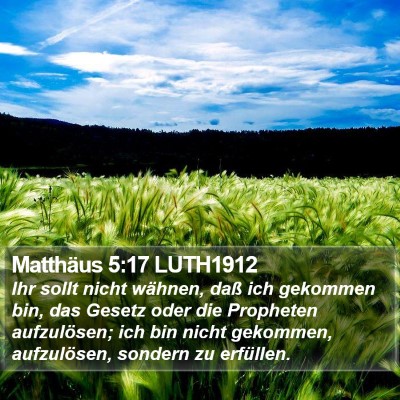 Matthäus 5:17 LUTH1912 Bible Verse Image