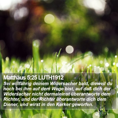 Matthäus 5:25 LUTH1912 Bible Verse Image