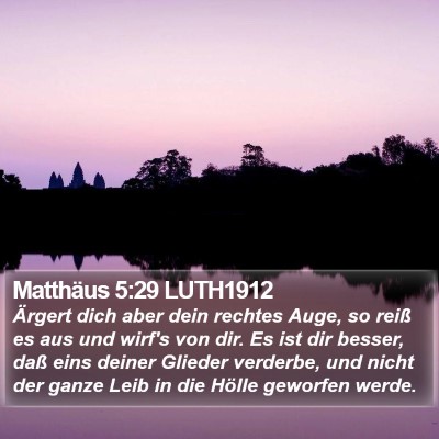 Matthäus 5:29 LUTH1912 Bible Verse Image