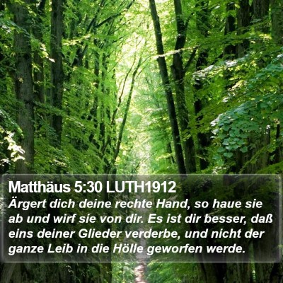 Matthäus 5:30 LUTH1912 Bible Verse Image
