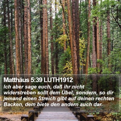 Matthäus 5:39 LUTH1912 Bible Verse Image