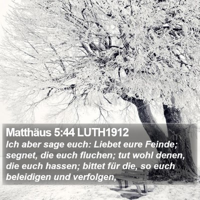 Matthäus 5:44 LUTH1912 Bible Verse Image