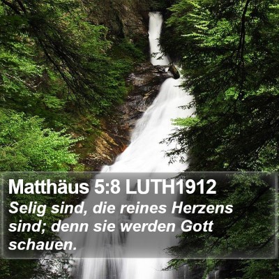 Matthäus 5:8 LUTH1912 Bible Verse Image
