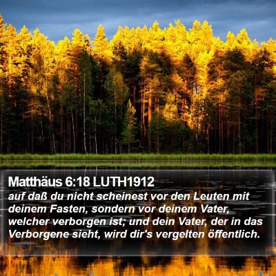 Matthäus 6:18 LUTH1912 Bible Verse Image