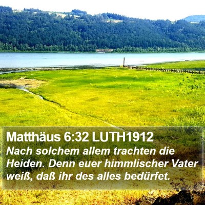 Matthäus 6:32 LUTH1912 Bible Verse Image