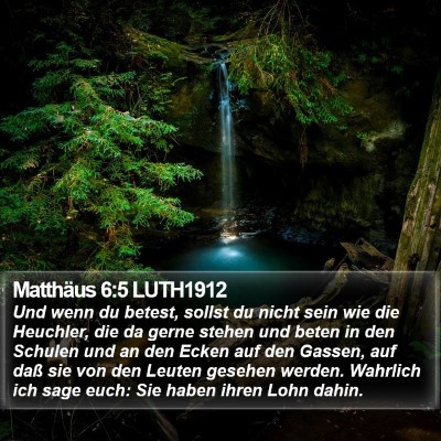 Matthäus 6:5 LUTH1912 Bible Verse Image