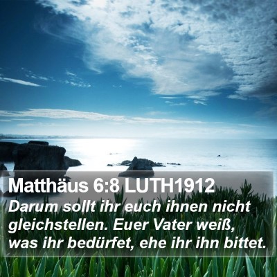 Matthäus 6:8 LUTH1912 Bible Verse Image