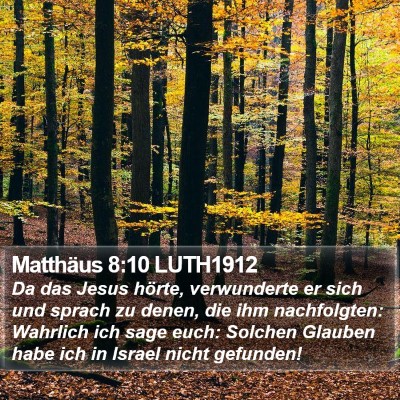 Matthäus 8:10 LUTH1912 Bible Verse Image