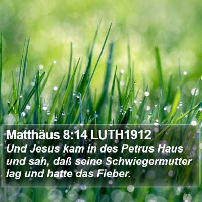 Matthäus 8:14 LUTH1912 Bible Verse Image