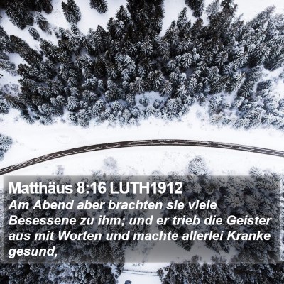 Matthäus 8:16 LUTH1912 Bible Verse Image