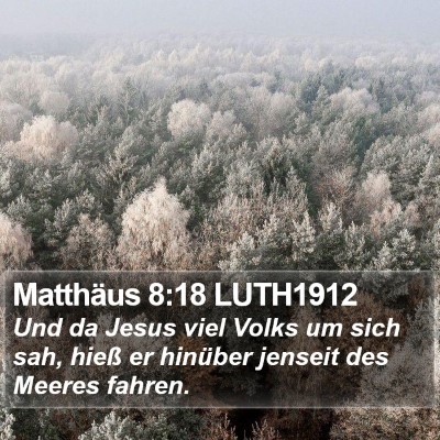 Matthäus 8:18 LUTH1912 Bible Verse Image