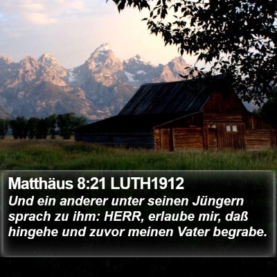 Matthäus 8:21 LUTH1912 Bible Verse Image