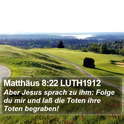 Matthäus 8:22 LUTH1912 Bible Verse Image