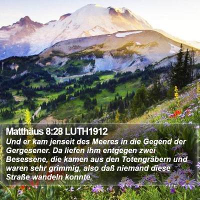 Matthäus 8:28 LUTH1912 Bible Verse Image