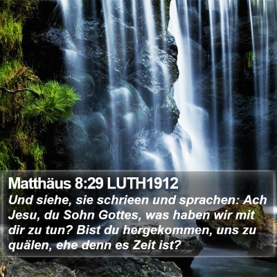 Matthäus 8:29 LUTH1912 Bible Verse Image