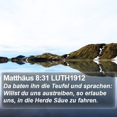 Matthäus 8:31 LUTH1912 Bible Verse Image
