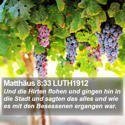 Matthäus 8:33 LUTH1912 Bible Verse Image