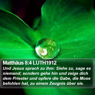 Matthäus 8:4 LUTH1912 Bible Verse Image