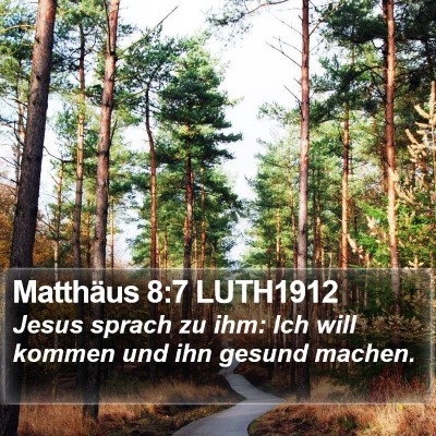 Matthäus 8:7 LUTH1912 Bible Verse Image