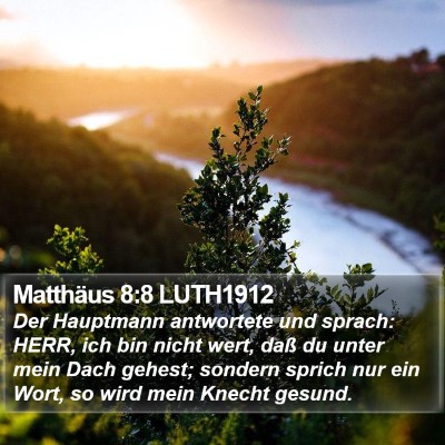 Matthäus 8:8 LUTH1912 Bible Verse Image