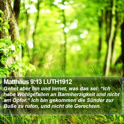 Matthäus 9:13 LUTH1912 Bible Verse Image