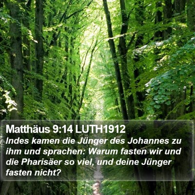 Matthäus 9:14 LUTH1912 Bible Verse Image
