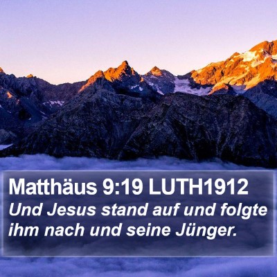 Matthäus 9:19 LUTH1912 Bible Verse Image