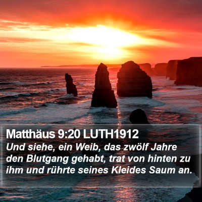 Matthäus 9:20 LUTH1912 Bible Verse Image