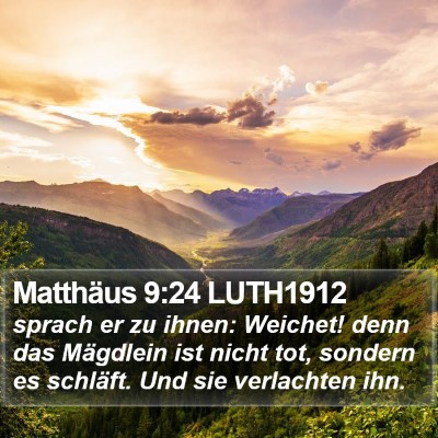 Matthäus 9:24 LUTH1912 Bible Verse Image