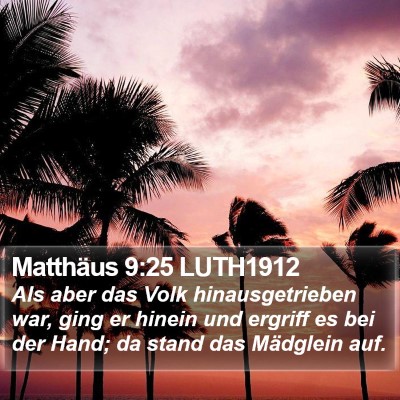 Matthäus 9:25 LUTH1912 Bible Verse Image