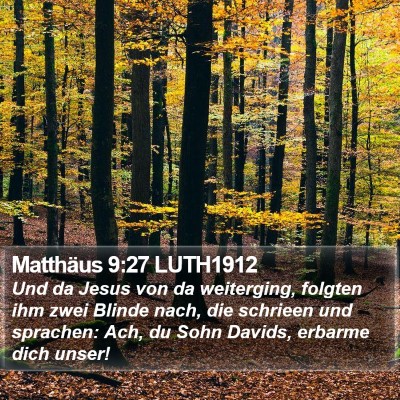Matthäus 9:27 LUTH1912 Bible Verse Image