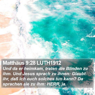 Matthäus 9:28 LUTH1912 Bible Verse Image