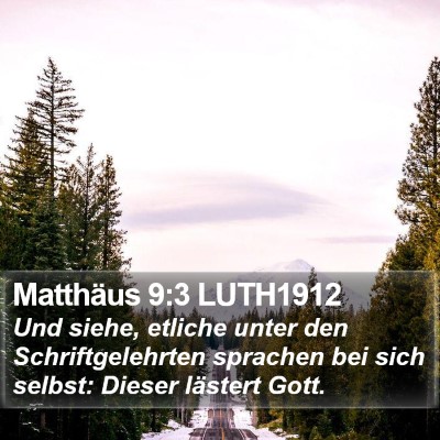 Matthäus 9:3 LUTH1912 Bible Verse Image