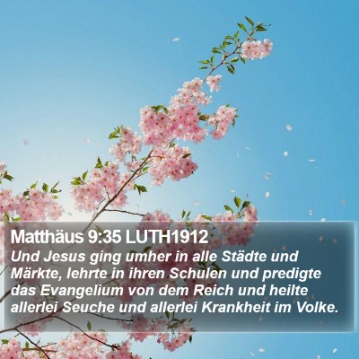 Matthäus 9:35 LUTH1912 Bible Verse Image