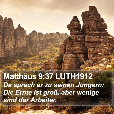 Matthäus 9:37 LUTH1912 Bible Verse Image