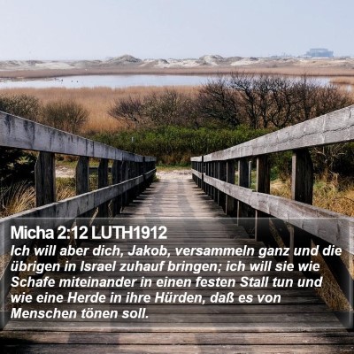 Micha 2:12 LUTH1912 Bible Verse Image
