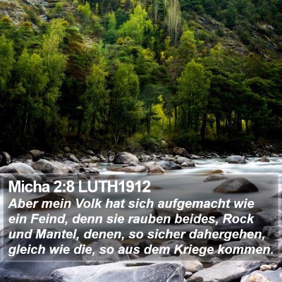 Micha 2:8 LUTH1912 Bible Verse Image