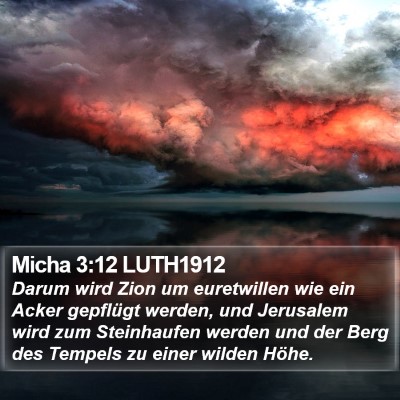 Micha 3:12 LUTH1912 Bible Verse Image
