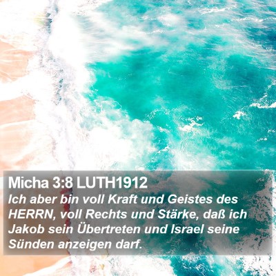 Micha 3:8 LUTH1912 Bible Verse Image