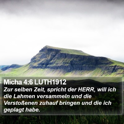 Micha 4:6 LUTH1912 Bible Verse Image