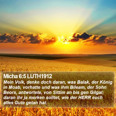 Micha 6:5 LUTH1912 Bible Verse Image