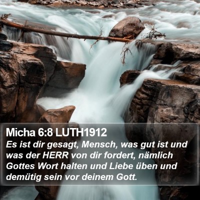 Micha 6:8 LUTH1912 Bible Verse Image
