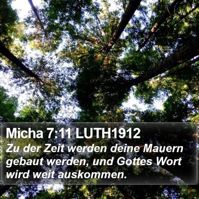 Micha 7:11 LUTH1912 Bible Verse Image