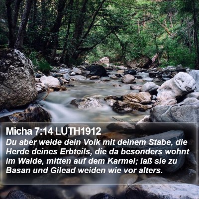 Micha 7:14 LUTH1912 Bible Verse Image
