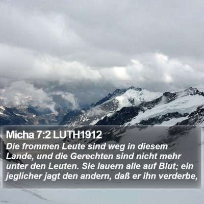 Micha 7:2 LUTH1912 Bible Verse Image
