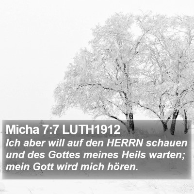 Micha 7:7 LUTH1912 Bible Verse Image