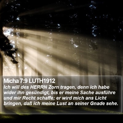 Micha 7:9 LUTH1912 Bible Verse Image
